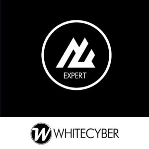 Expert Member
